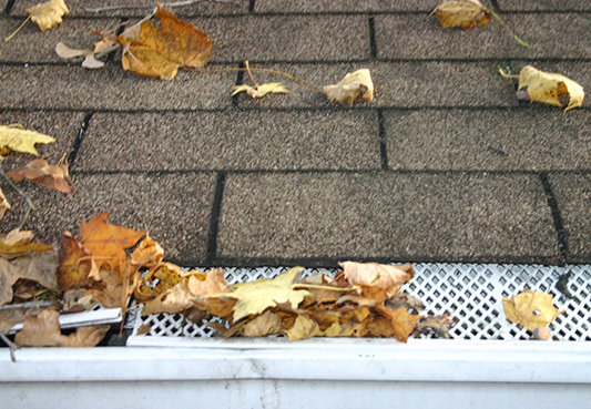 Gutter Guard Installation